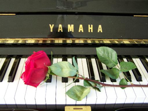 Yamaha U3, Steinway grand